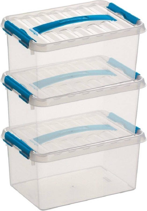 Sunware 3x Q-Line opberg boxen opbergdozen 6 liter 30 x 20 x 14 cm kunststof Opslagbox Opbergbak kunststof transparant rood
