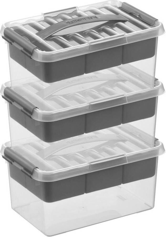 Merkloos Sans marque 3x Sunware Q-Line opberg boxen opbergdozen met vakverdeling vakken tray 6 liter 30 x 20 x 14 cm kunststof Gereedschapskist Opslagbox Opbergbak kunststof transparant zilver