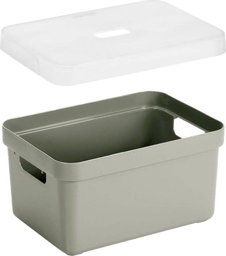 Sunware 4x stuks opbergboxen opbergmanden lichtgroen van 5 liter kunststof met transparante deksel 25 x 18 x 12 cm