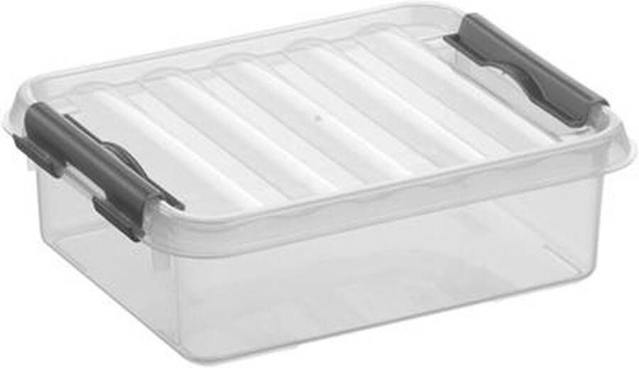 Sunware Q-line opbergbox 1L transparant metaal 20 x 15 x 6 cm