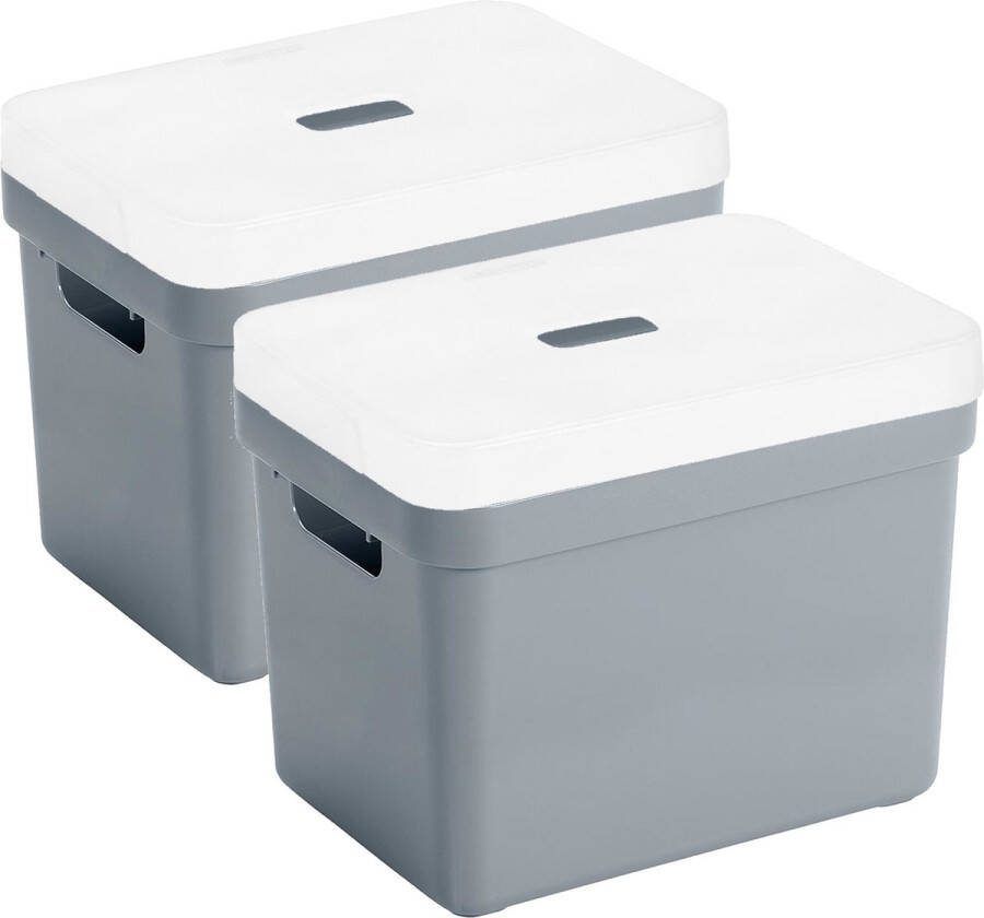 Sunware Set van 2x opbergboxen opbergmanden blauwgrijs van 18 liter kunststof met transparante deksel 35 x 25 x 24 cm