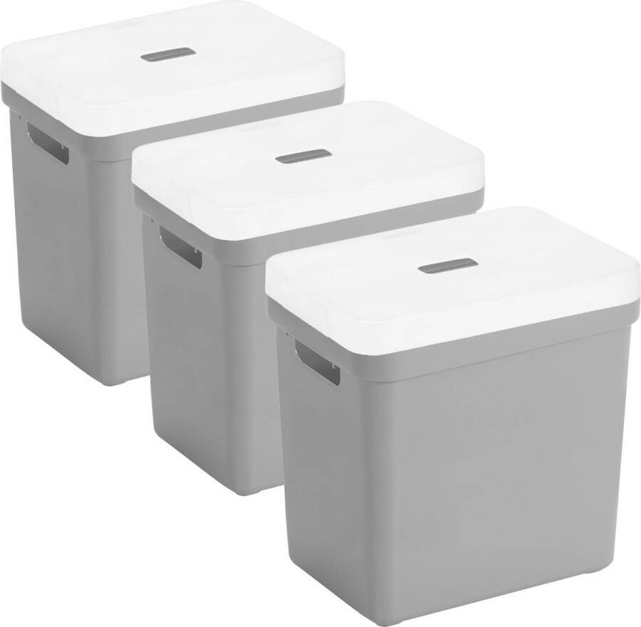 Sunware Set van 3x opbergboxen opbergmanden lichtgrijs van 25 liter kunststof met transparante deksel 35 x 25 x 36 cm