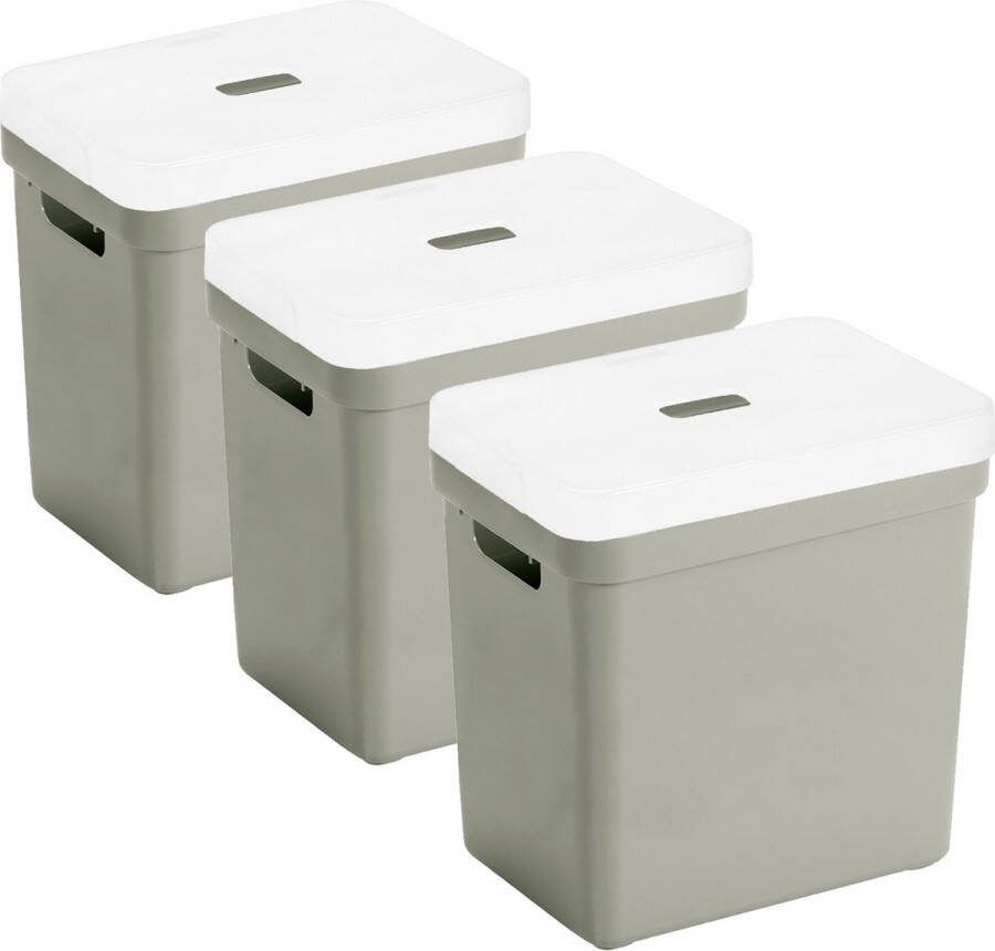 Sunware Set van 3x opbergboxen opbergmanden lichtgroen van 25 liter kunststof met transparante deksel 35 x 25 x 36 cm