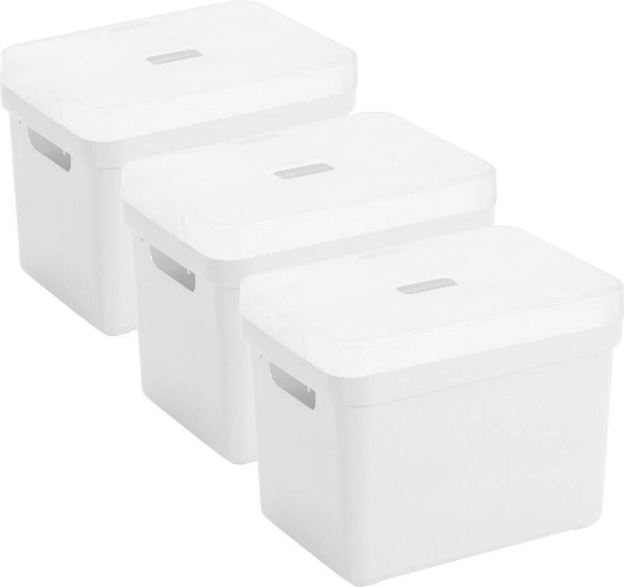 Sunware Set van 3x opbergboxen opbergmanden wit van 18 liter kunststof met transparante deksel 35 x 25 x 24 cm