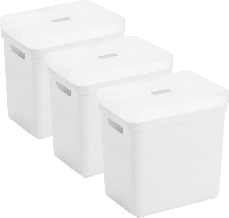 Sunware Set van 3x opbergboxen opbergmanden wit van 25 liter kunststof met transparante deksel 35 x 25 x 36 cm