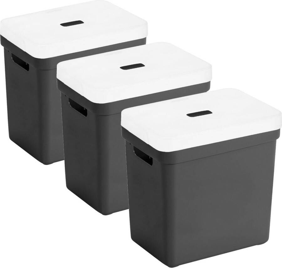 Sunware Set van 3x opbergboxen opbergmanden zwart van 25 liter kunststof met transparante deksel 35 x 25 x 36 cm