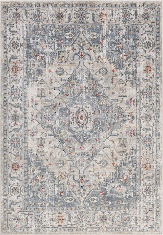 Surya Vloerkleed Woonkamer Slaapkamer Vintage Oosters vloerkleed DALILA Meerkleurig 200x275 cm