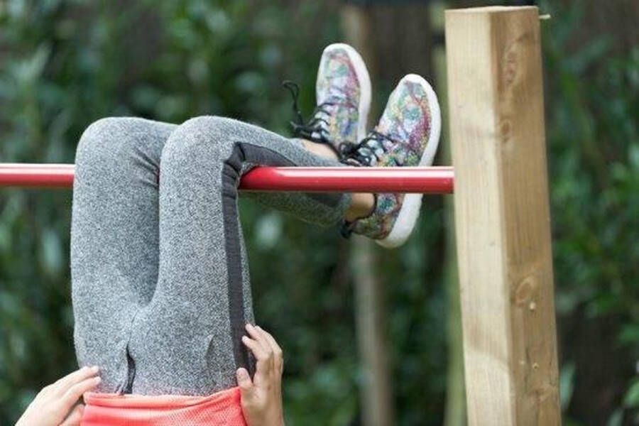Swing King Swingking Duikelstang 145x240cm