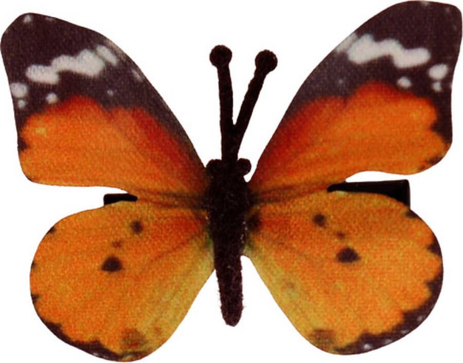 S.Y.W Haarclipje vlindertje oranje 6 cm