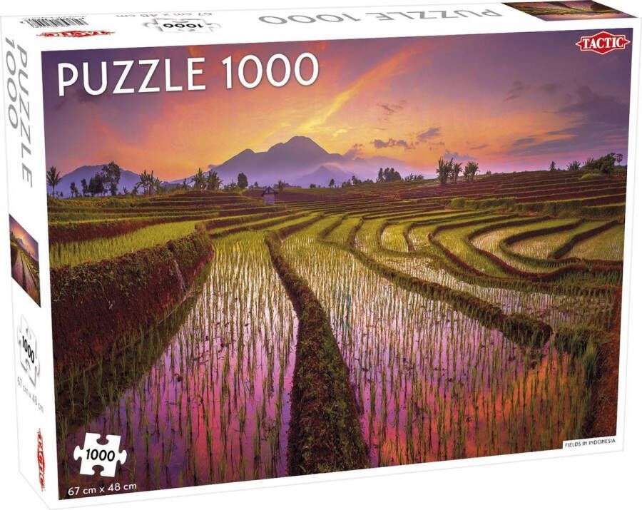 Tactic Puzzel Fields in Indonesia 1000 Stukjes