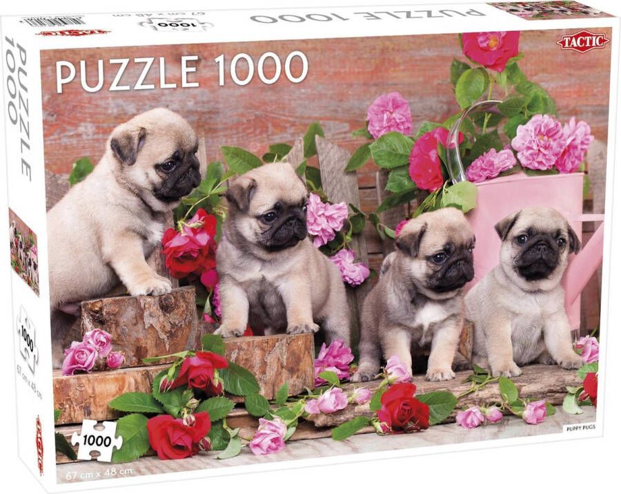 Tactic Puzzel Puppy Pugs 1000 Stukjes