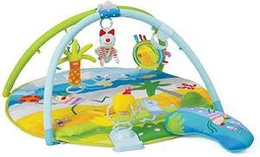 Taf Toys Baby gym Speelkleed met afneembare bogen en speeltjes 0 24 mnd
