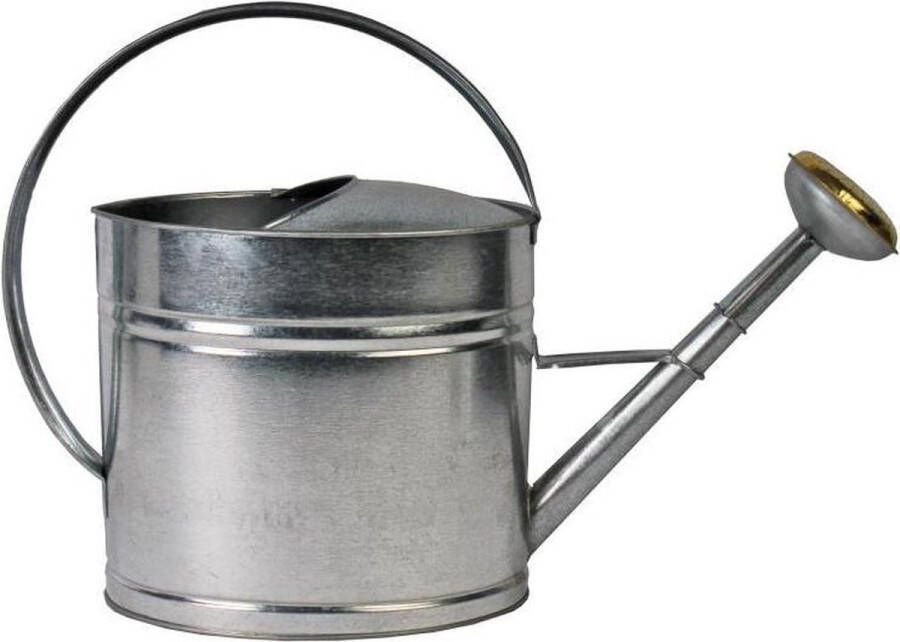 Strabox Gegalvaniseerde 10 Liter Gieter Van Talentools