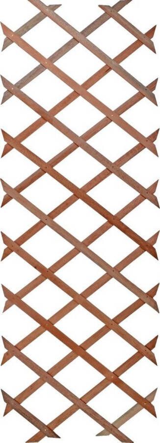 Express Houten plantenklimrek 60 x 180 cm