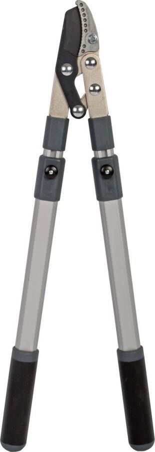 Talen Tools Takkenschaar Koolstofstaal Aambeeld Telescopisch