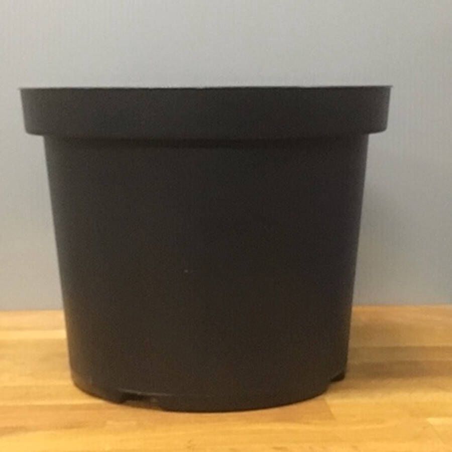 Tas Boomkwekerij Kweekpot Zwart Rond 10 liter Ø29cm (10 stuks)