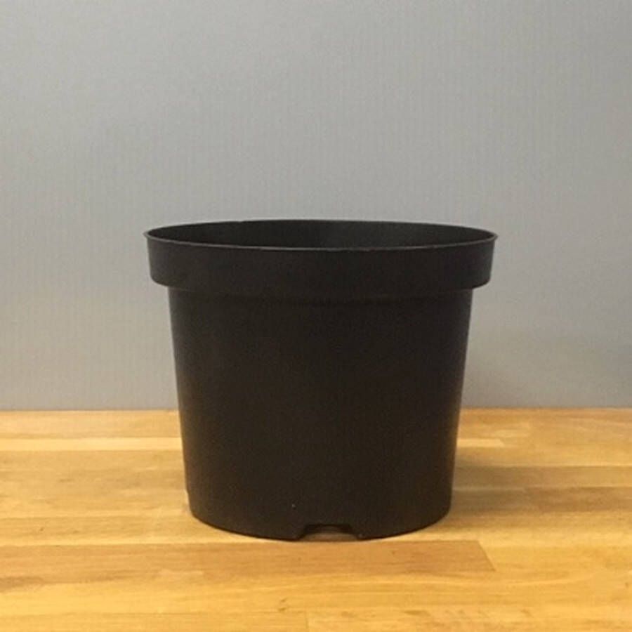 Tas Boomkwekerij Kweekpot Zwart Rond 4 liter Ø19cm (10 stuks)