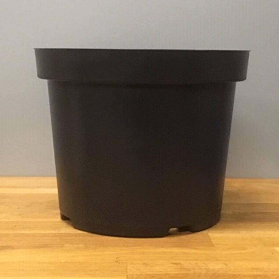 Tas Boomkwekerij Kweekpot Zwart Rond 7 5 liter Ø26cm (10 stuks)