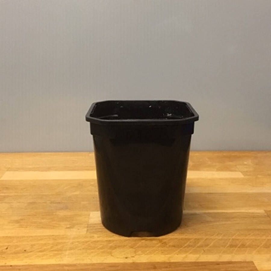 Tas Boomkwekerij Kweekpot Zwart Vierkant Rond 1 liter 10 5cm (10 stuks)