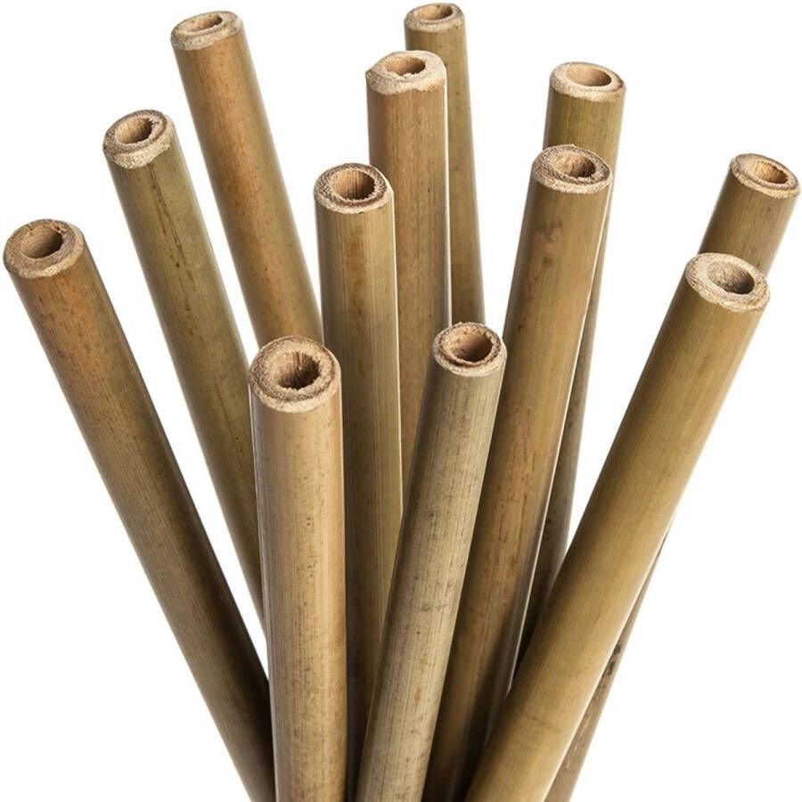 Tasteables Bamboo Rietjes Recht Bamboe Cocktail Rietjes Set van 8 Duurzaam Herbruikbaar Reinigingsborstel 200mm lengte Natuurlijk materiaal