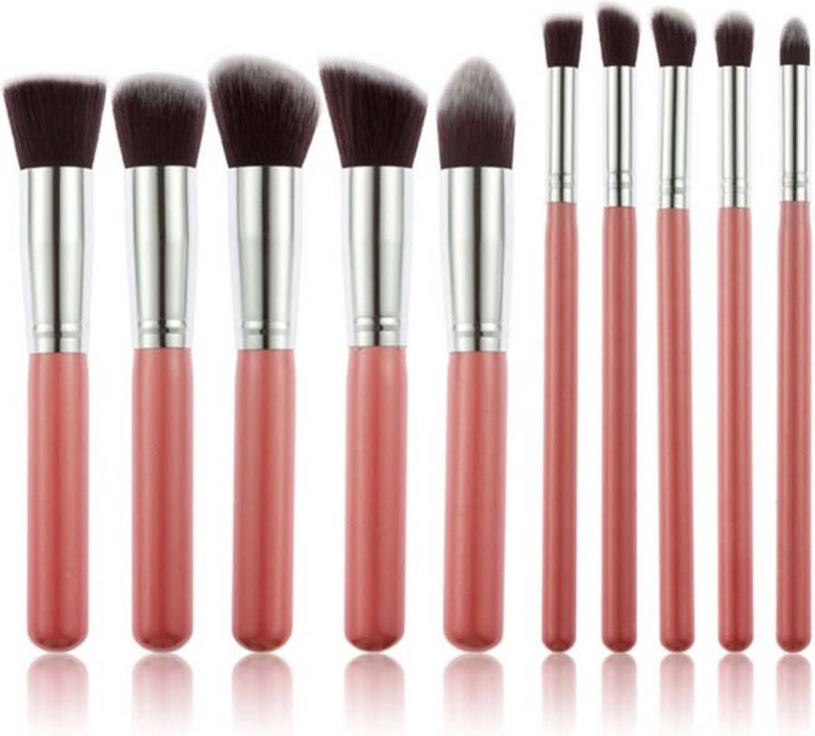 Technique Pro 10-delige Make-up Kwastensets Make Up Brush Oogschaduw – Beauty Foundation Kwast Poederkwast Brush Make Up Cosmetica Pink Silver