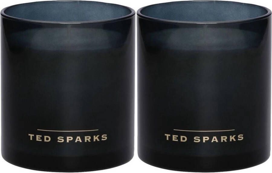Salon Discounter Ted Sparks Bamboo and Peony Demi Duo Pack