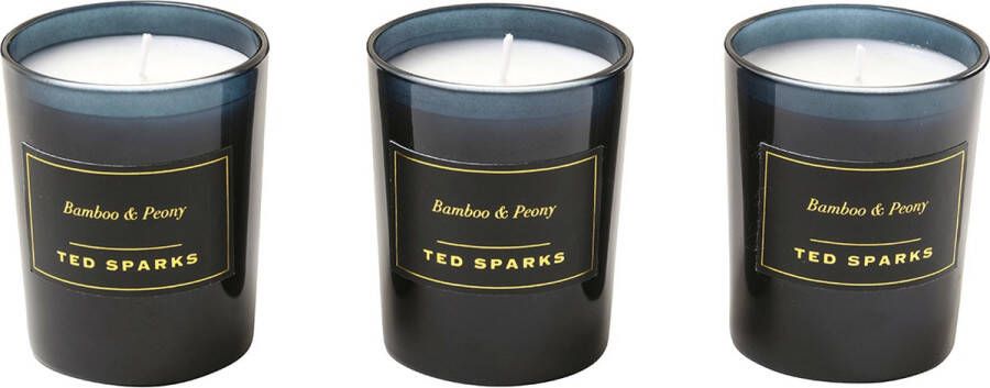 Ted Sparks Gift Set 3 geurkaarsen in prachtige geschenkverpakking Bamboo & Peony