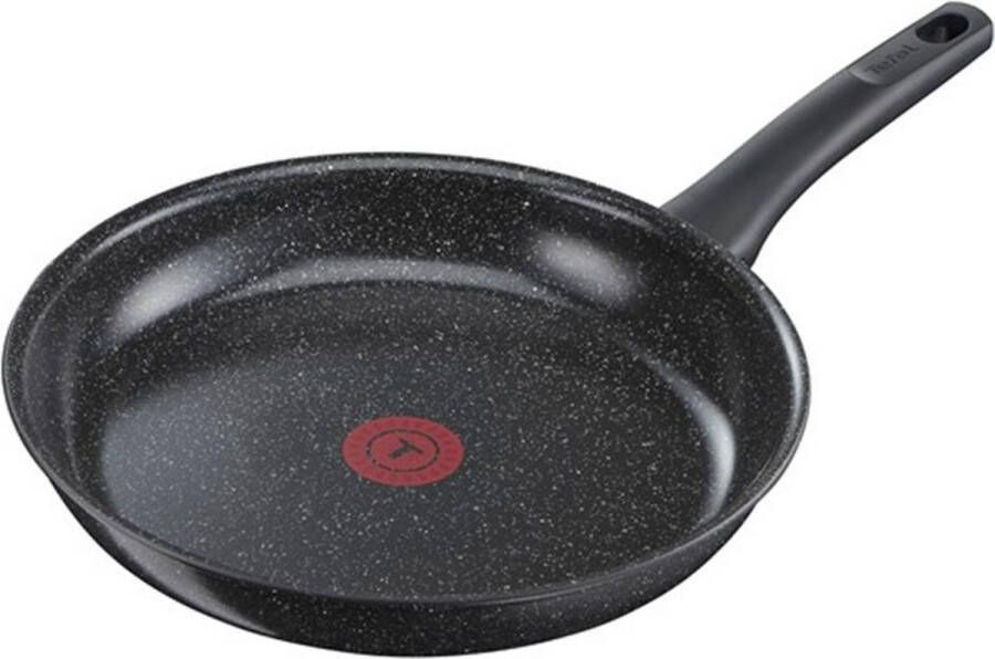 Tefal Asteroid Koekenpan Ø 28 cm