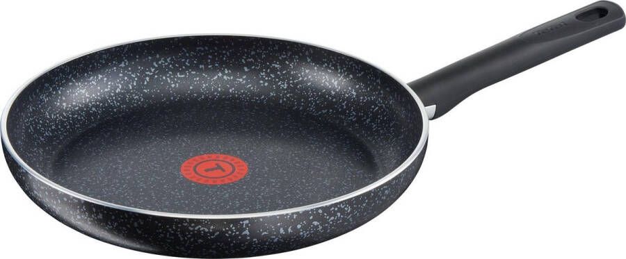 Tefal Brut Koekenpan 28 cm