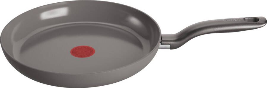 Tefal Ceramic Control Induction Grey koekenpan 20 cm