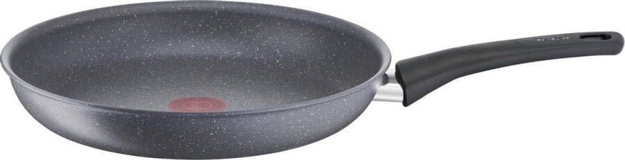 Tefal Healthy Chef Koekenpan 28 cm Inductie