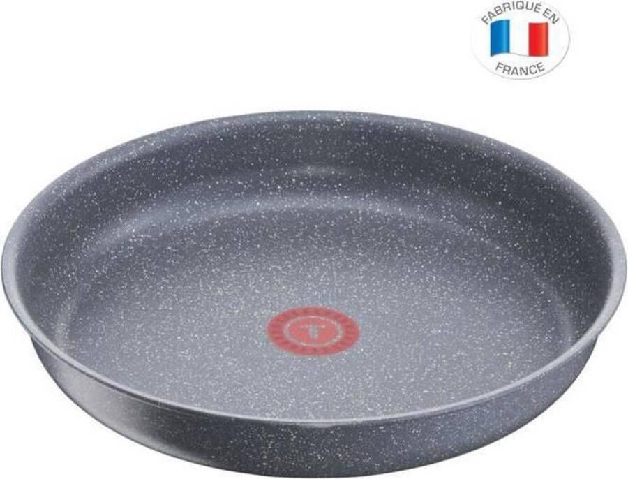 Tefal L6800602 Ingenio Koekenpan 28 cm Alle kookplaten inclusief inductie Veelzijdig Antiaanbaklaag Gemaakt in Frankrijk Steeneffect