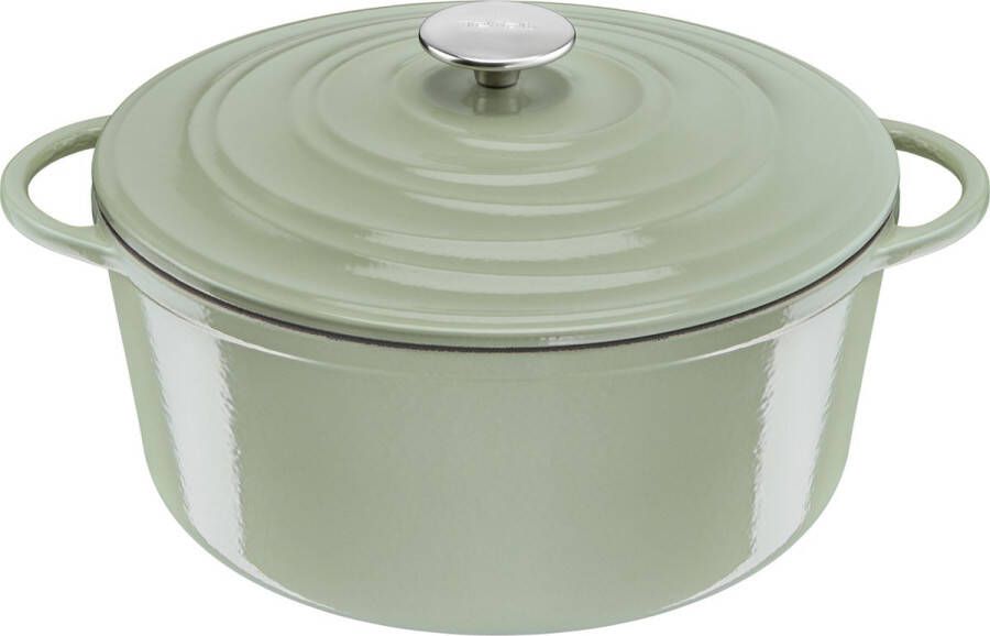Tefal LOV Braadpan 5L Ø25 cm Groen