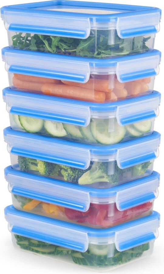 Tefal MasterSeal Fresh Vershouddoos 6-delige mealprep set 6x 0.8L Blauw