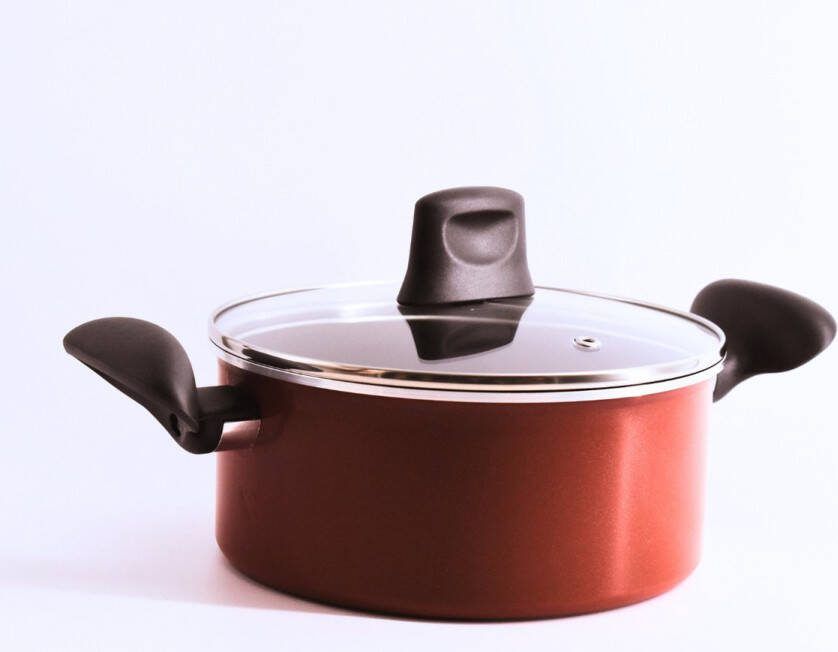 Tefal Recource Hoogwaardıge Kookpan Met Glazen Deksel en Thermo Sıgnal technology 20 cm