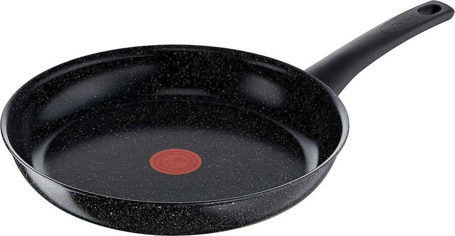 Tefal Resistal koekenpan 28 cm Inductie
