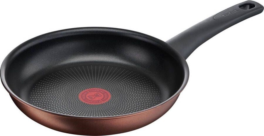 Tefal Resource Koekenpan 28 cm Thermo Signal Duurzaam