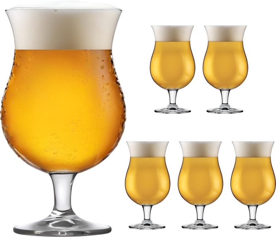 Ten Luxe Bierglazen Kristal 398ml Speciaal bierglas Kristal Speciaal Bier Pakket Tulpglas Pint
