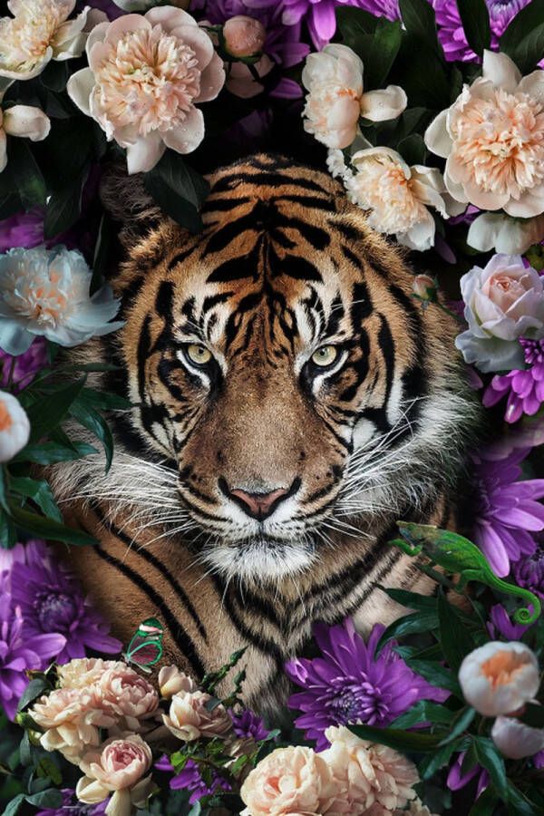 Ter Halle Glasschilderij 80x120cm Tiger between flowers