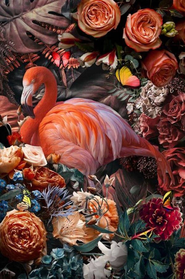 Ter Halle Glasschilderij Dieren Flamingo Rood Roze Bloemen Vlinders 80x120 Fotokunst Levi Design