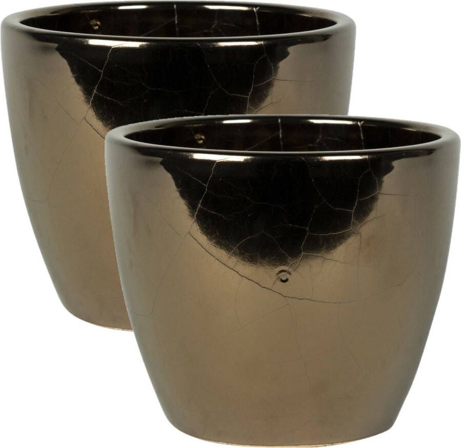 Ter Steege 2x stuks plantenpot bloempot in een strakke Scandinavische look goud Dia 16 cm en Hoogte 13 cm Plantenpotten