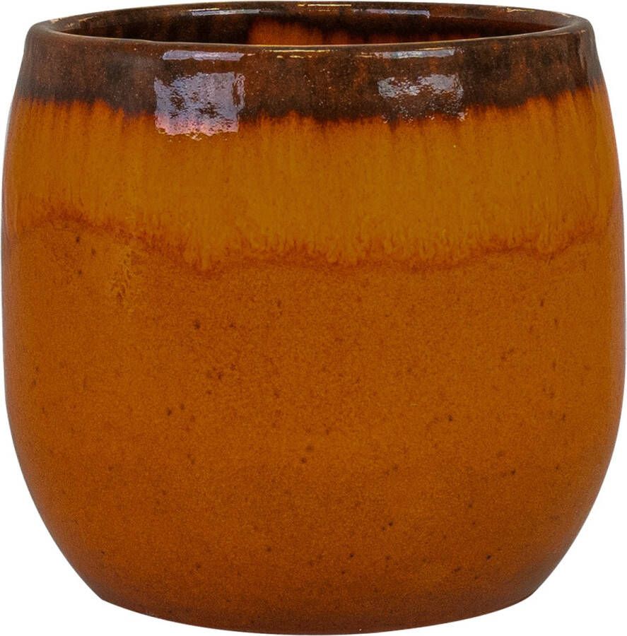 Ter Steege Bloempot Oranje D 15 cm H 13 cm Opening 11 cm