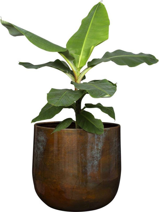 Ter Steege Bloempot-Sierpot Metaal Mystic Blue D 22 H 20 cm Opening is 17 cm