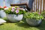 Ter Steege Bloempot plantenpot schaal gerecycled kunststof steenpoeder betongrijs dia 55 cm en hoogte 23 cm Binnen en buiten - Thumbnail 1