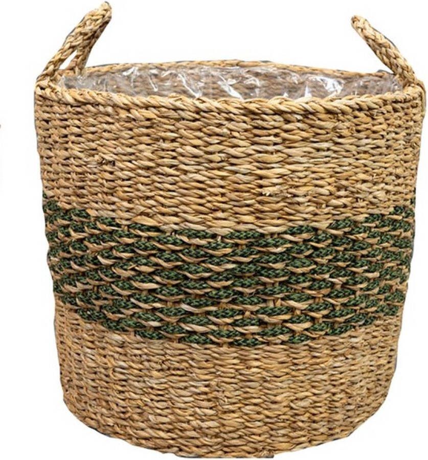 Ter Steege Plantenmand voor Binnen Zeegras Beige-Groen D 30 cm H 27 cm