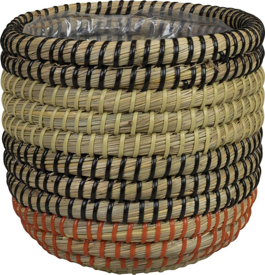 Ter Steege Plantenmand voor Binnen Zeegras D 17 cm H 17 cm Voordeelaanbod Per 2 stuks