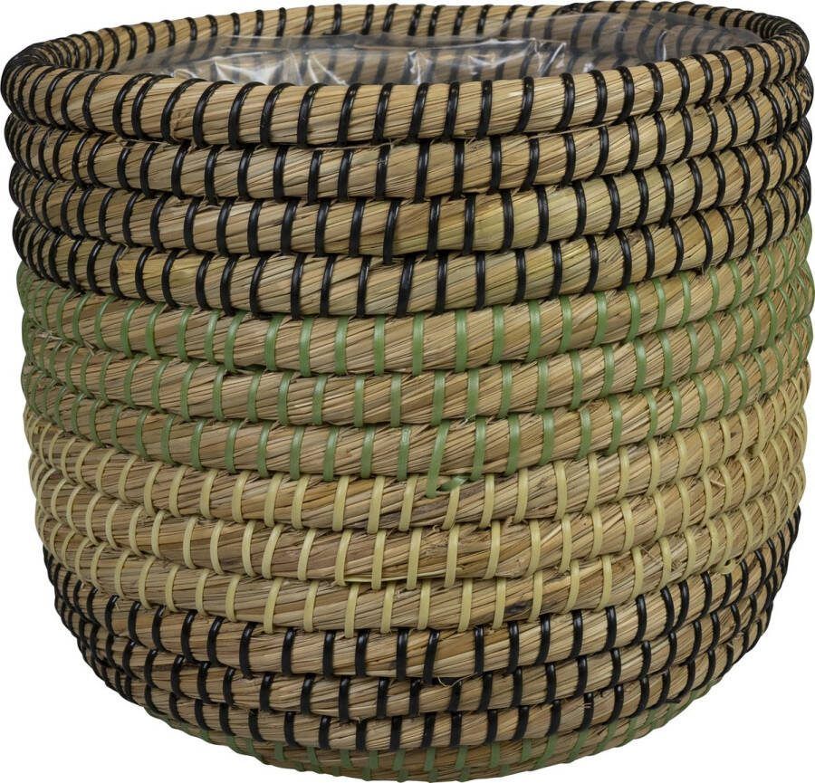 Ter Steege Plantenmand voor Binnen Zeegras D 27 cm H 23 cm