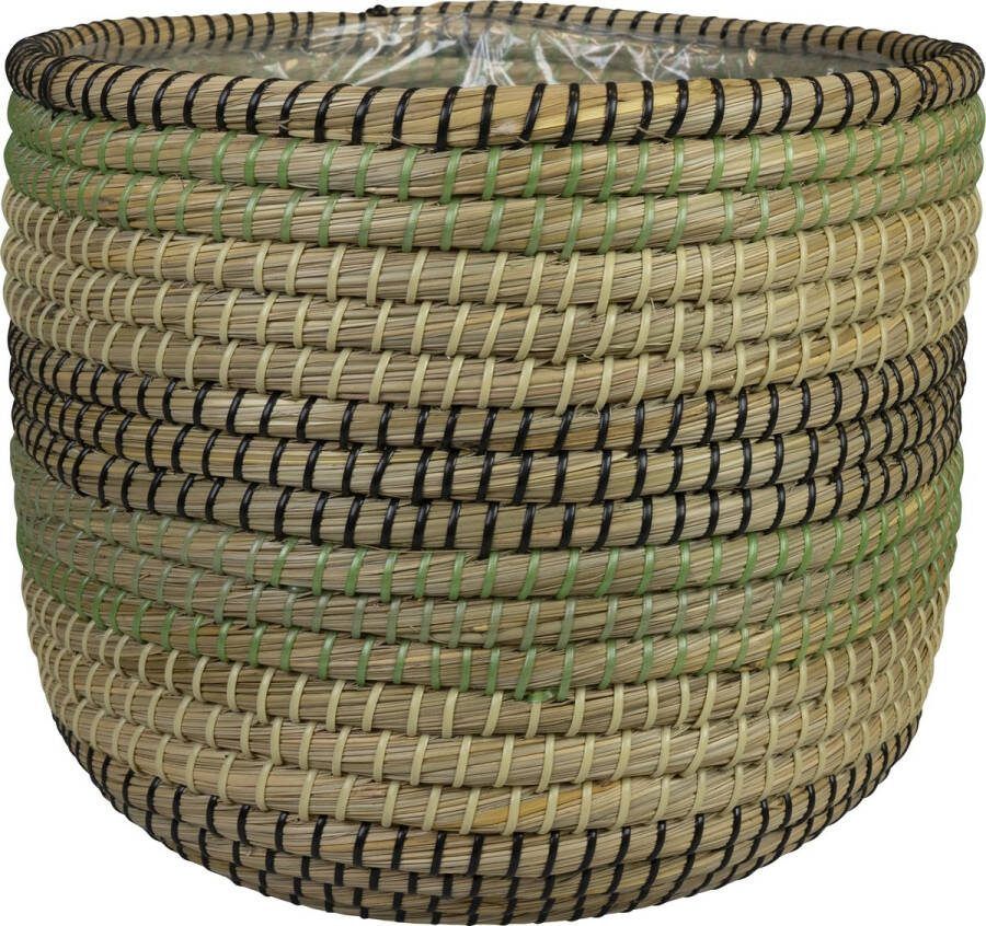 Ter Steege Plantenmand voor Binnen Zeegras D 37 cm H 31 cm