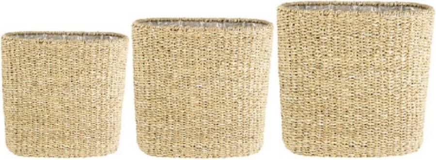 Ter Steege Plantenmand Zeegras Beige Breed 41 cm Diep 20cm Hoog 40cm Rechts op de foto