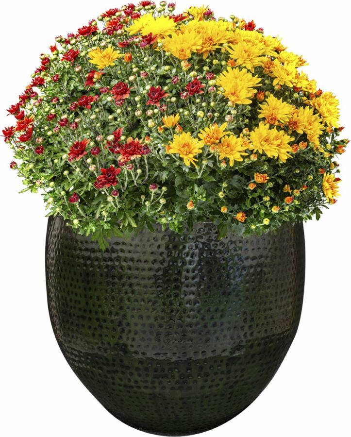 Ter Steege Topf Thom Forest S Ø 30 x H 27 cm